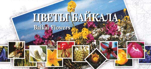 Цветы Байкала (Baikal flowers)